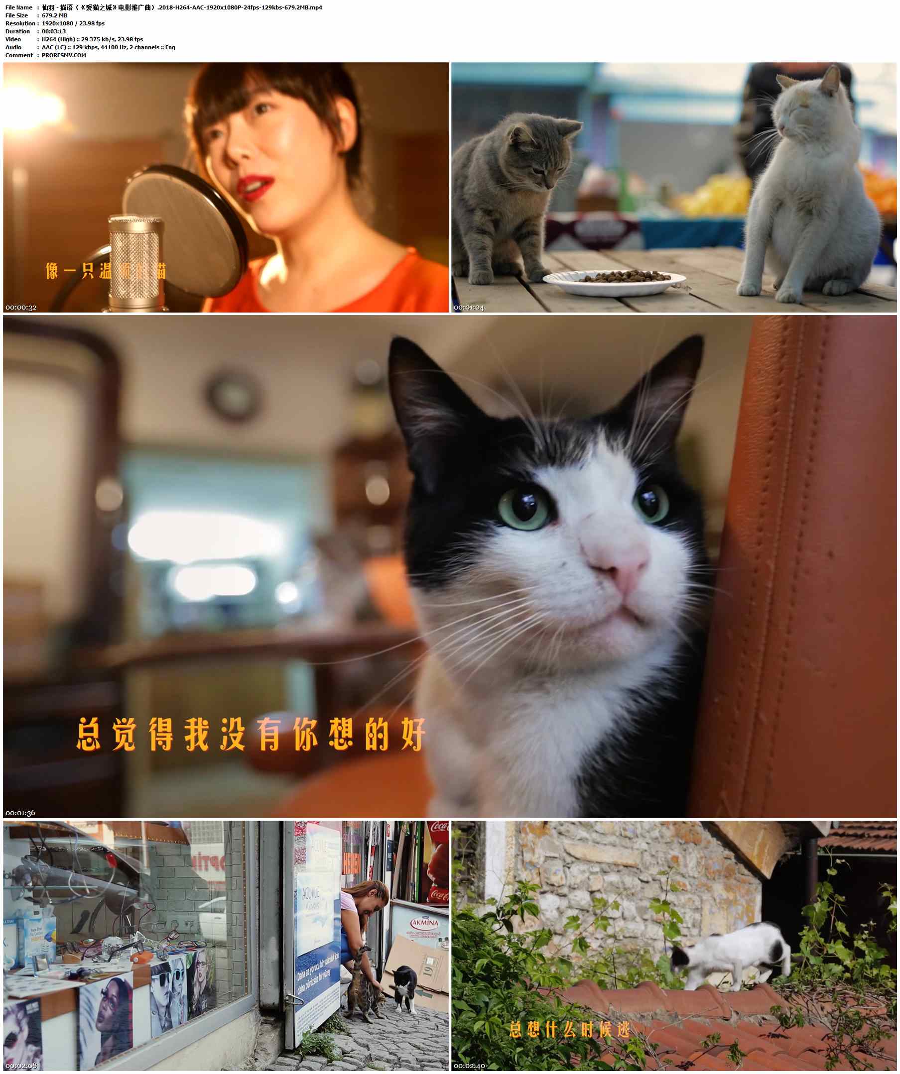 仙羽 - 猫语（《爱猫之城》电影推广曲）.2018-H264-AAC-1920x1080P-24fps-129kbs-679.2MB官方MV_高清MV